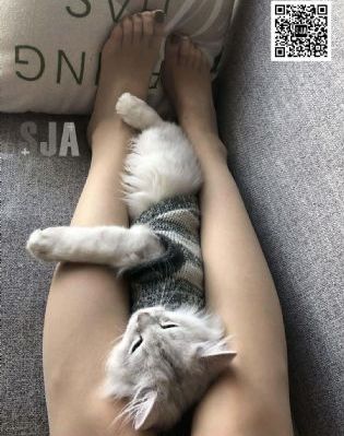 苍穹之昴_1080P在线观看高清